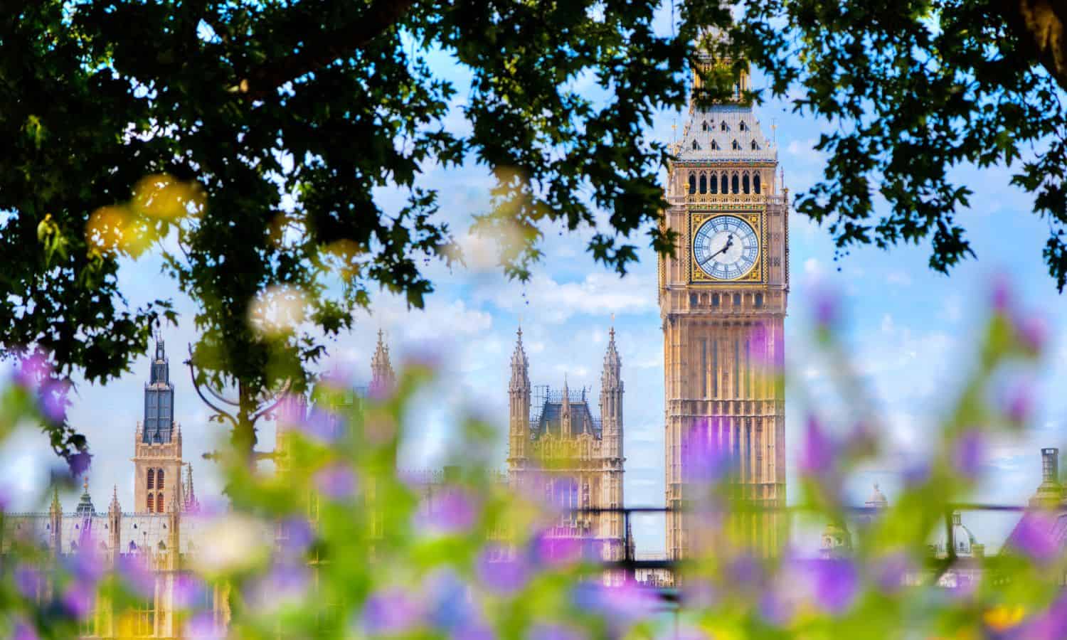 Spring Budget 2024: image depicts big ben and the houses of parliament with some purple spring flowers and trees in front of it out of focus.