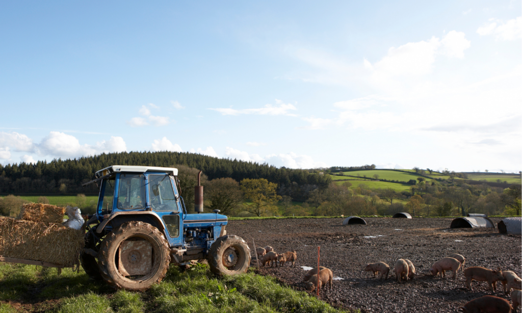 Succession planning for farmers following the Agricultural property relief (APR) changes