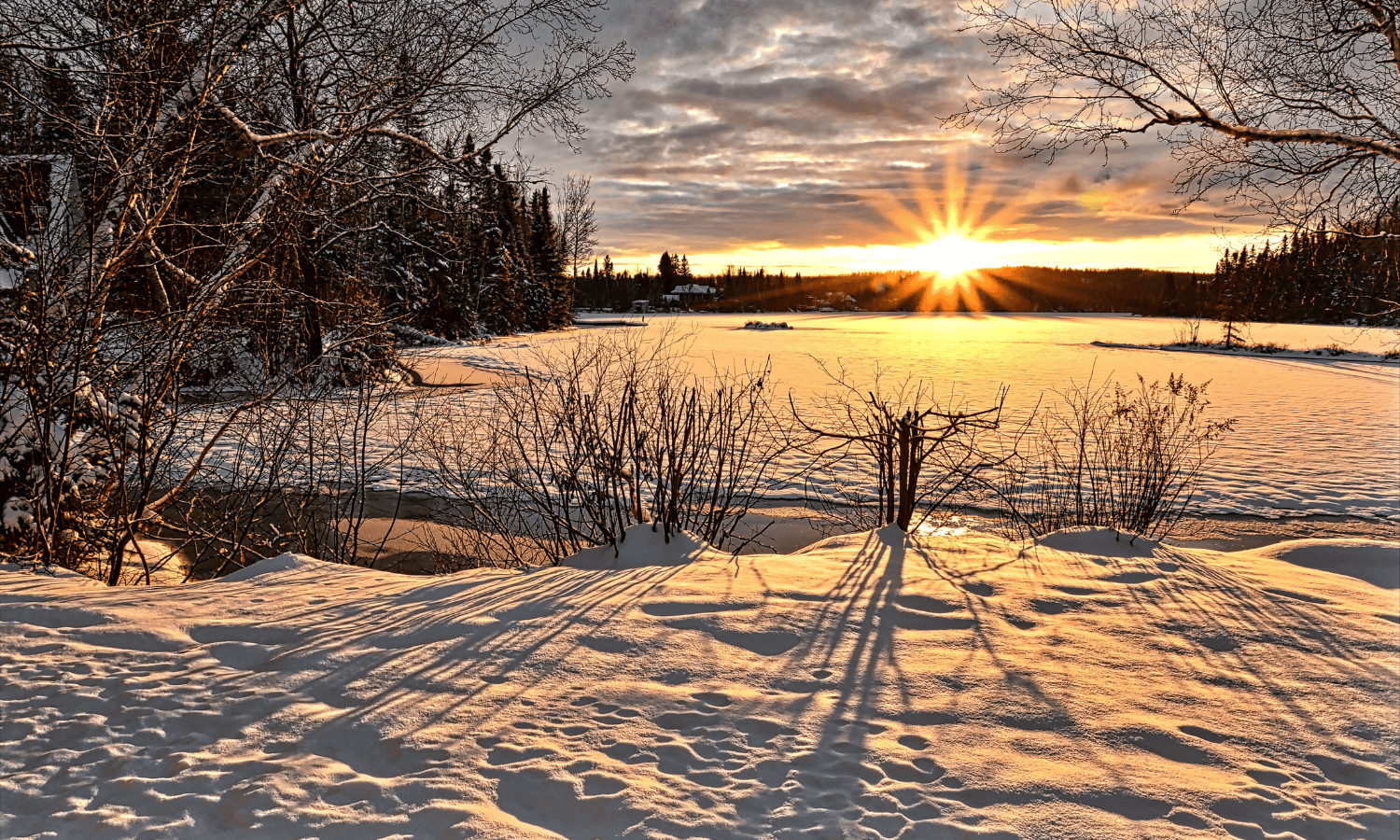 Clayton & Brewill December 2024 Newsletter. The image depicts a field covered in snow with some trees and a sunset in the distance